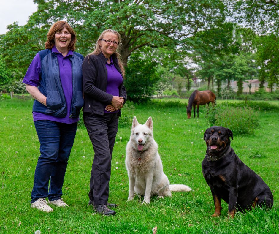 The Natural Dog Training Academy