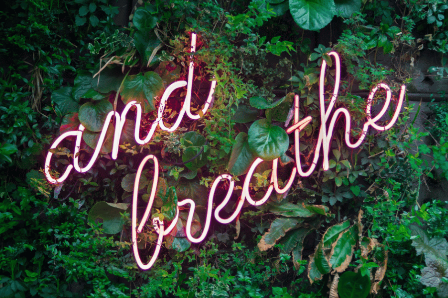 image: pink neon sign saying 'and breathe' on background of green foliage