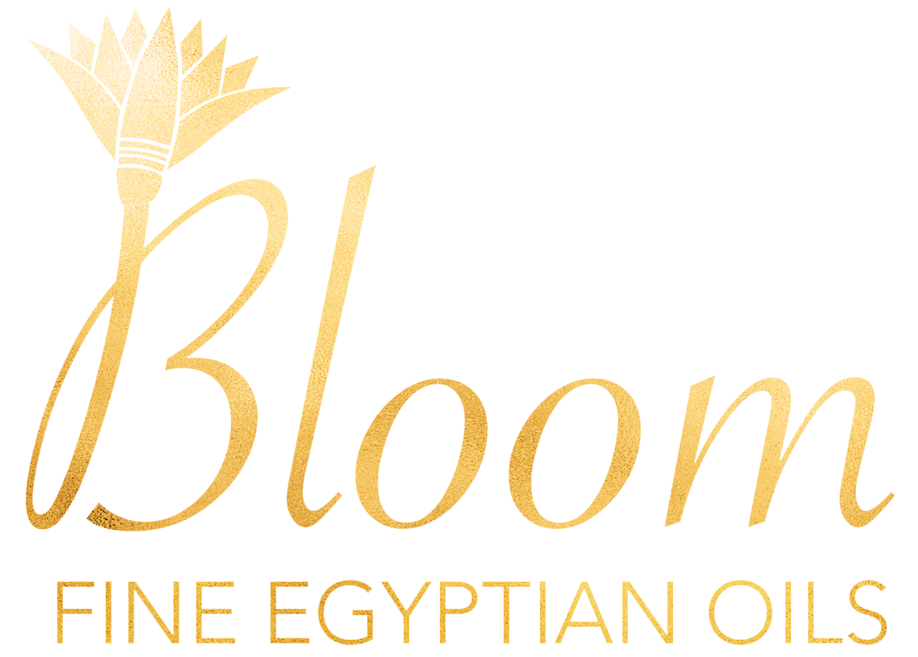 Bloom Temple Logo