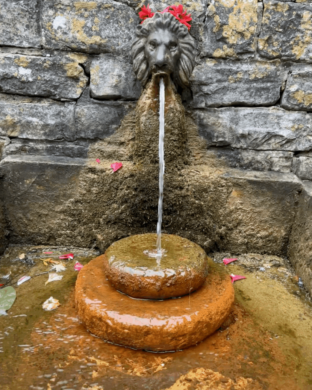 Lion Well Head Chalice Well