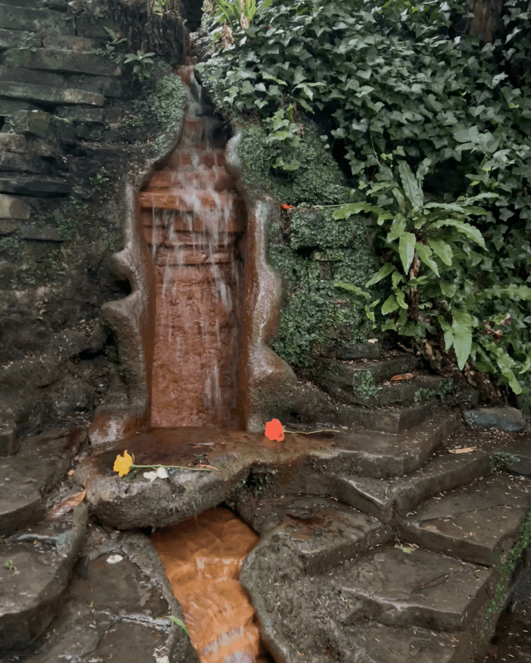 Sacred Waters Chalice Well