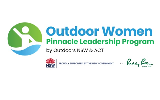 Pinnacle Leadership Program Cohort