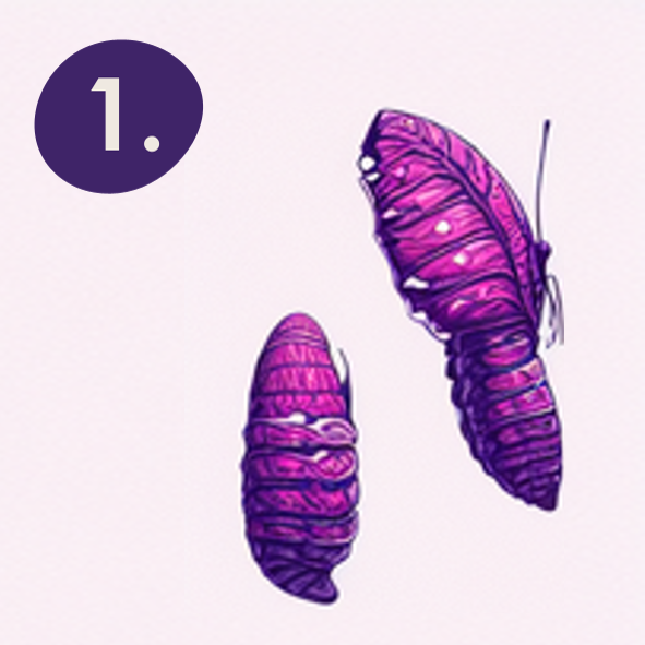 image of the step one of chrysalis´ holistic well-being transformation