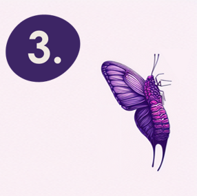 image of the step 3 of chrysalis´ holistic well-being transformation