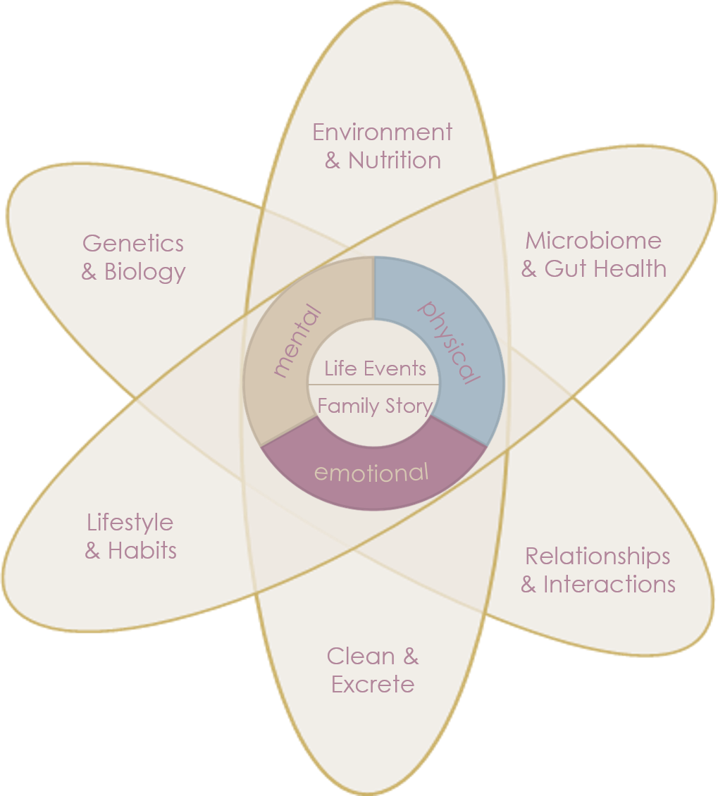 Holistic well-being approach integrating life, story, genetics, environment, microbiome, lifestyle, relationships, detox...