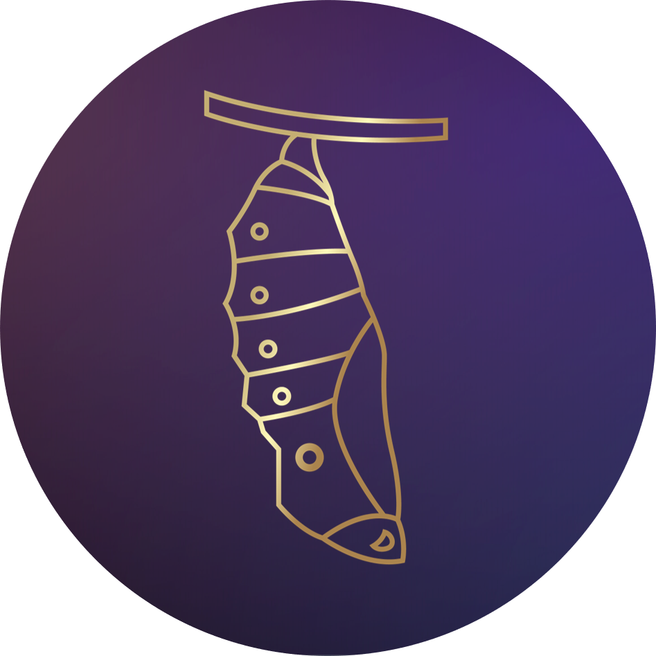 chrysalis logo, symbol of transformation and growth, representing their services of integrative health and wellness programs