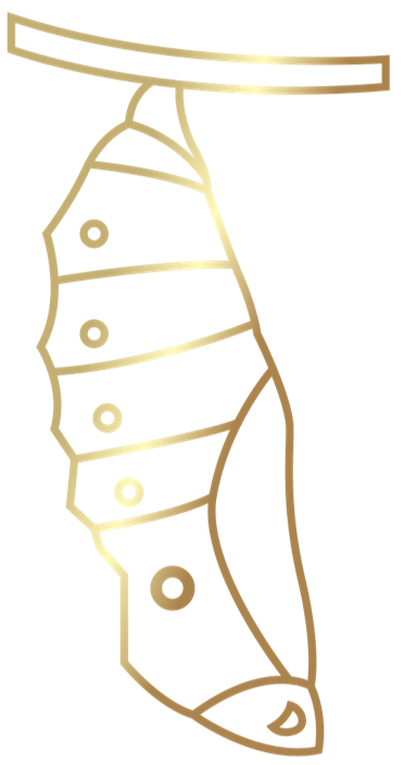 chrysalis, transform holistic well-being in your life