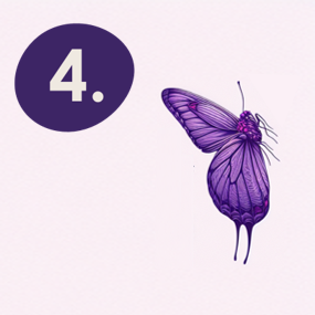 image of the step 4 of chrysalis´ holistic well-being transformation