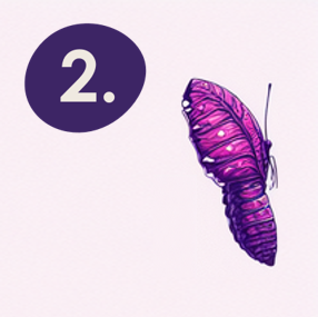 image of the step 2 of chrysalis´ holistic well-being transformation