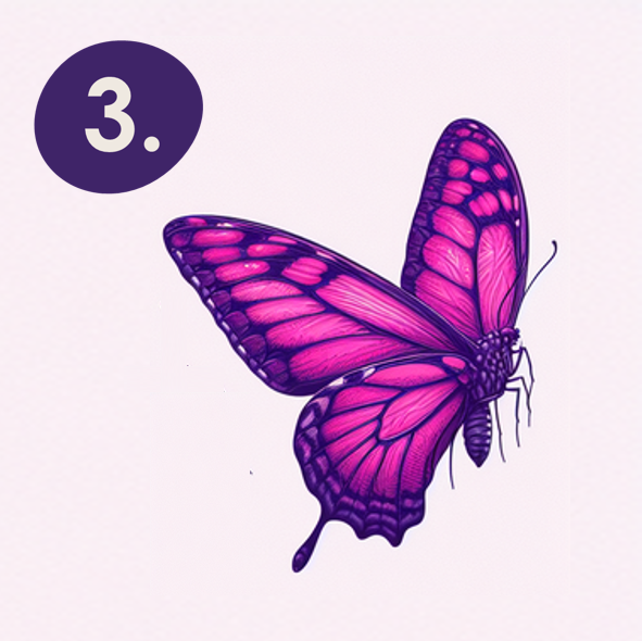 image of the step three of chrysalis´ holistic well-being transformation