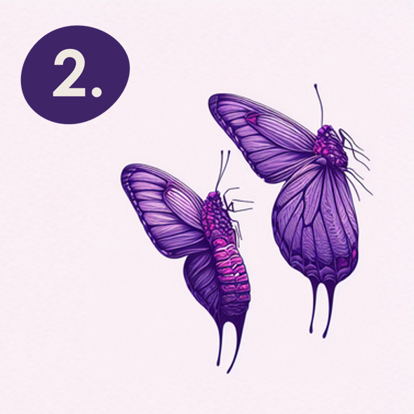 image of the step two of chrysalis´ holistic well-being transformation