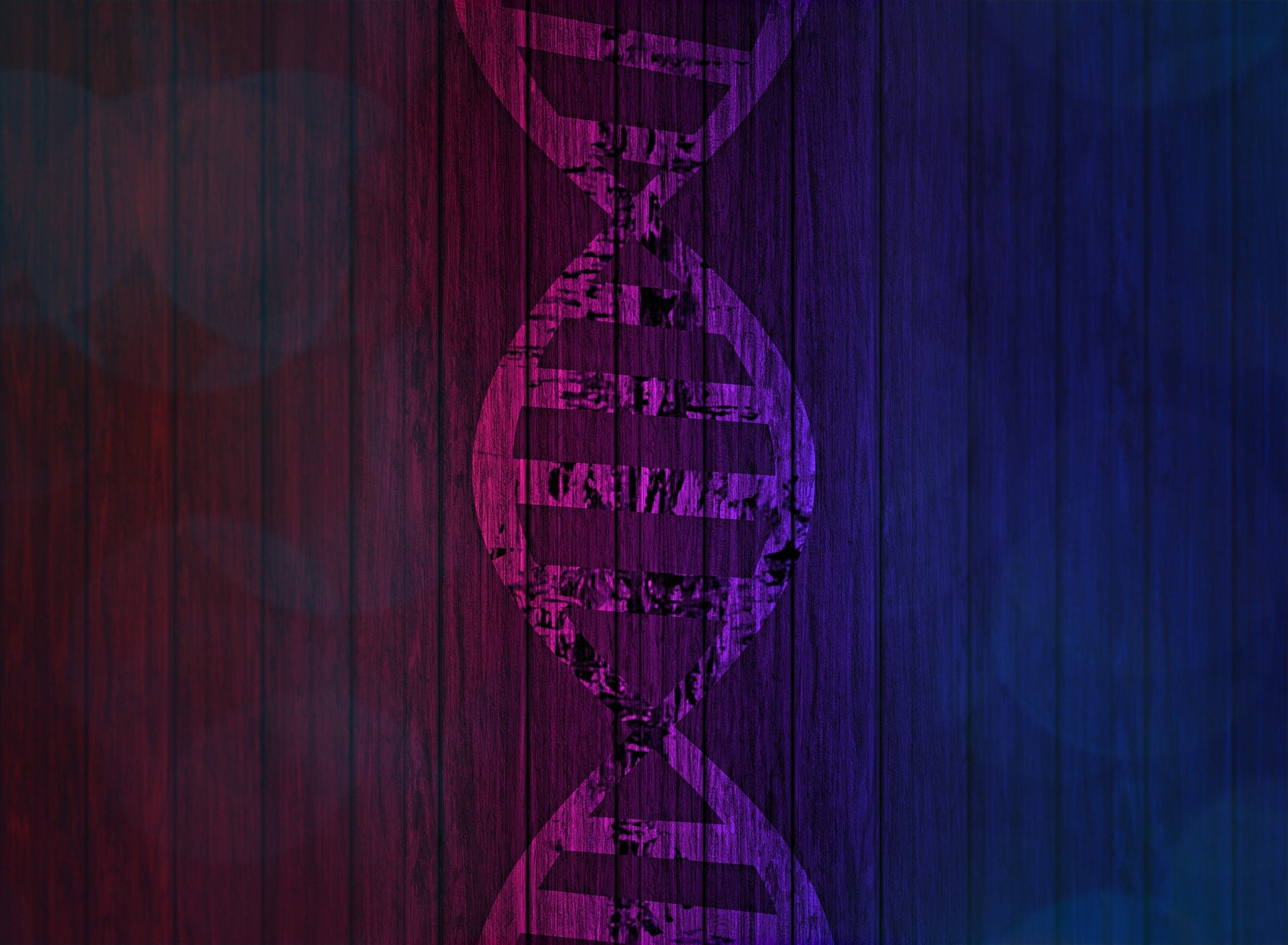 DNA coded double helix. Featured image blog How Lifestyle Epigenetics Influence Your Health