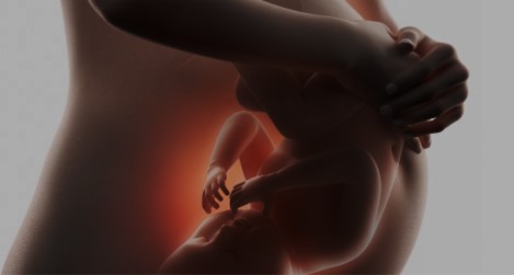 Image of a Mother, Womb and Baby. The interconnectes of love, nurturing and lifelong well-being.