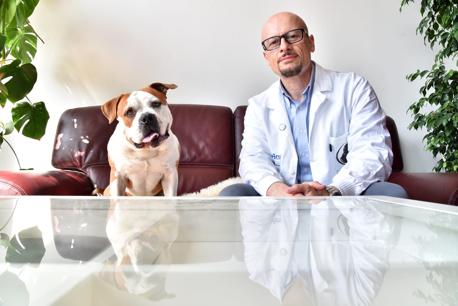 Petsmind di Diego Rendini Comportamentalista