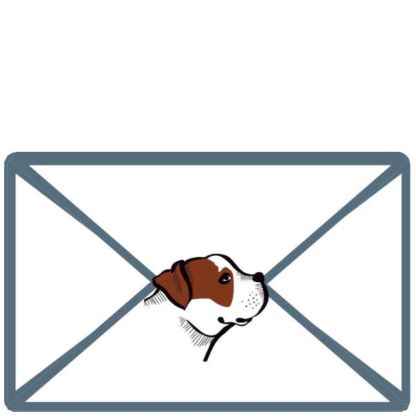 Newsletter petsmind