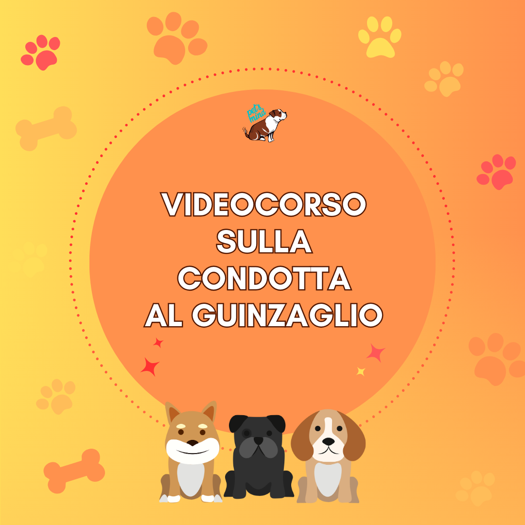 Diego Rendini veterinario comportamentalista