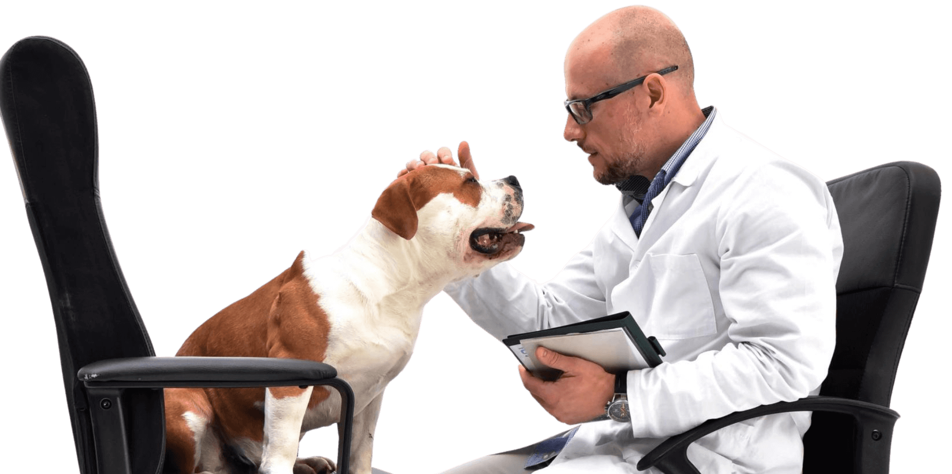 Diego Rendini veterinario comportamentalista