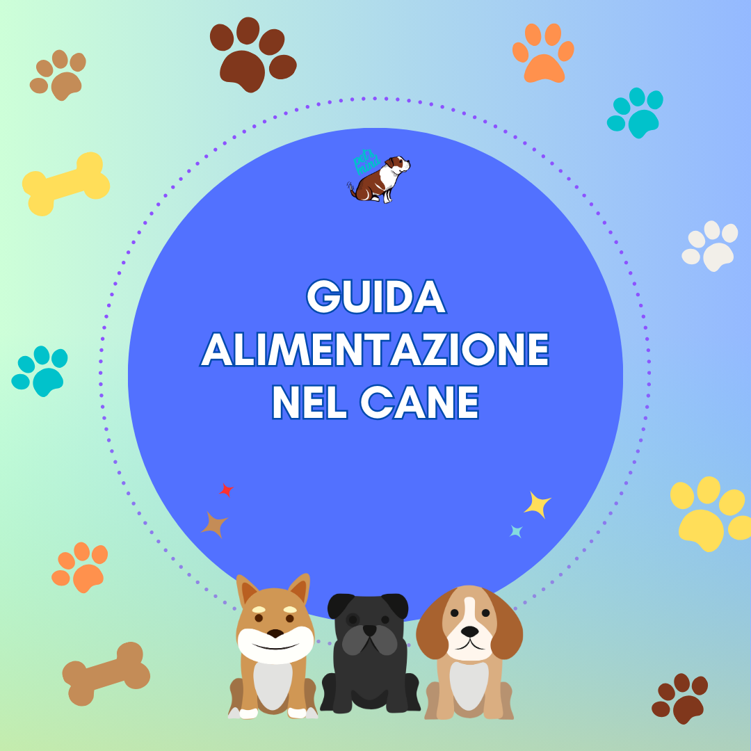 Corsi online Diego Rendini 