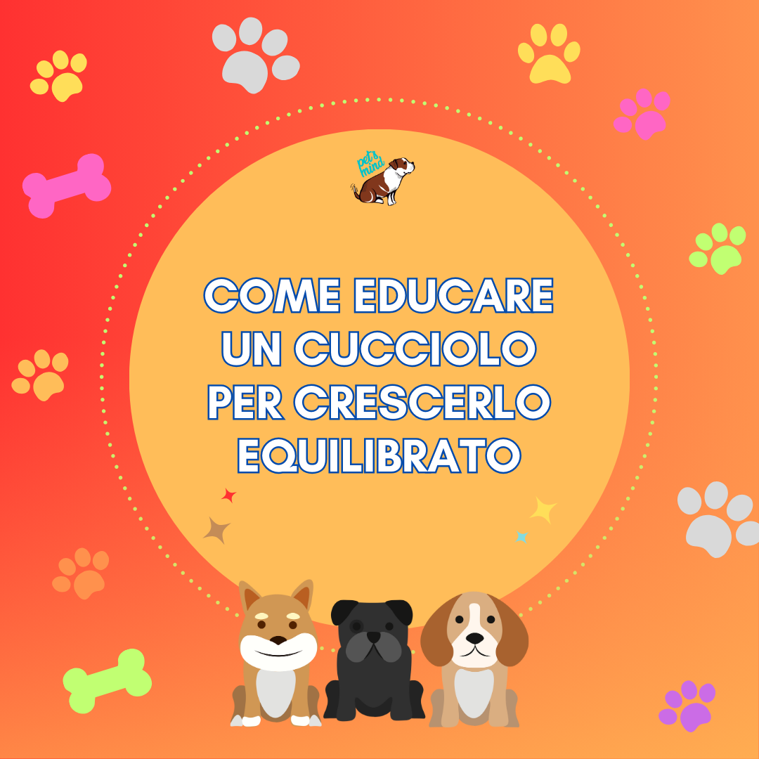 Diego Rendini veterinario comportamentalista