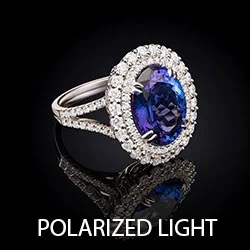 SECRETS OF POLARIZED