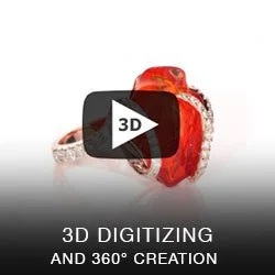 3D DIGITIZING & 360 VIDEO CREATION