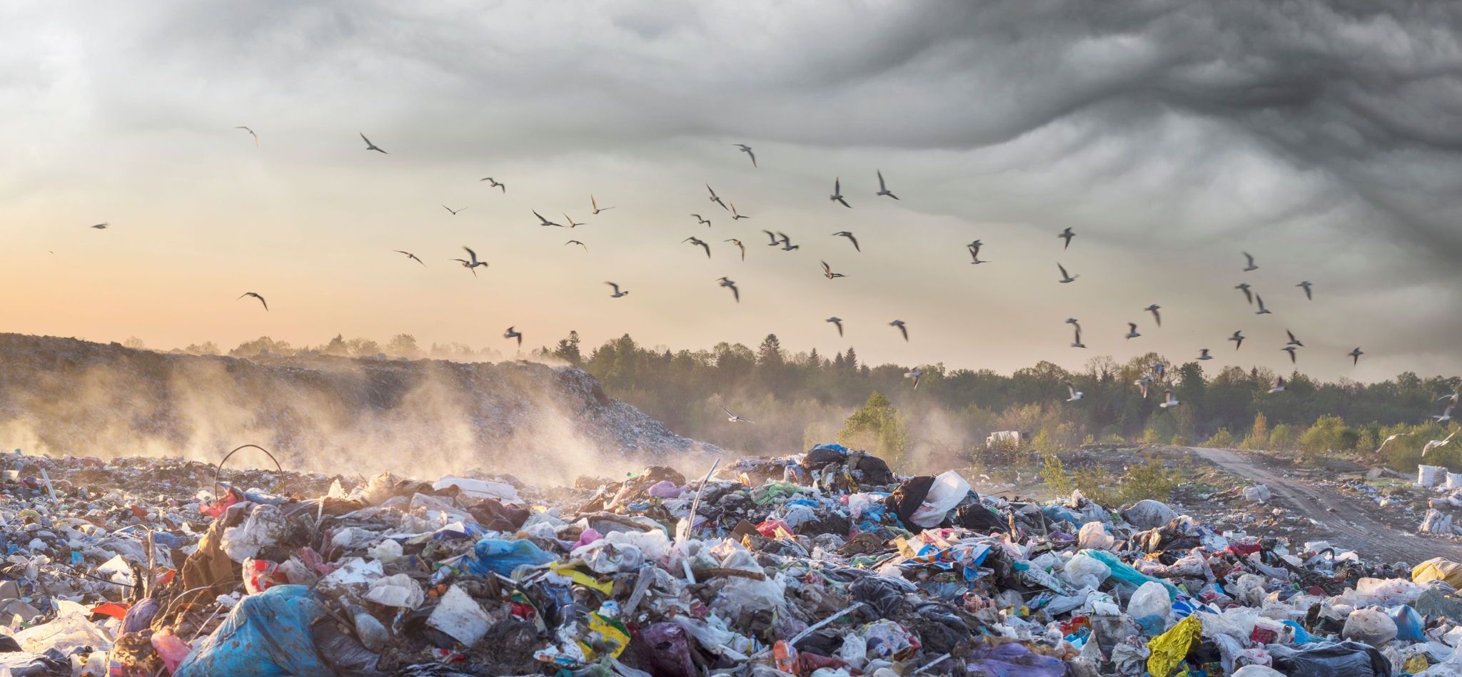 Birds flock through an angry grey sky over an ocean of landfill garbage