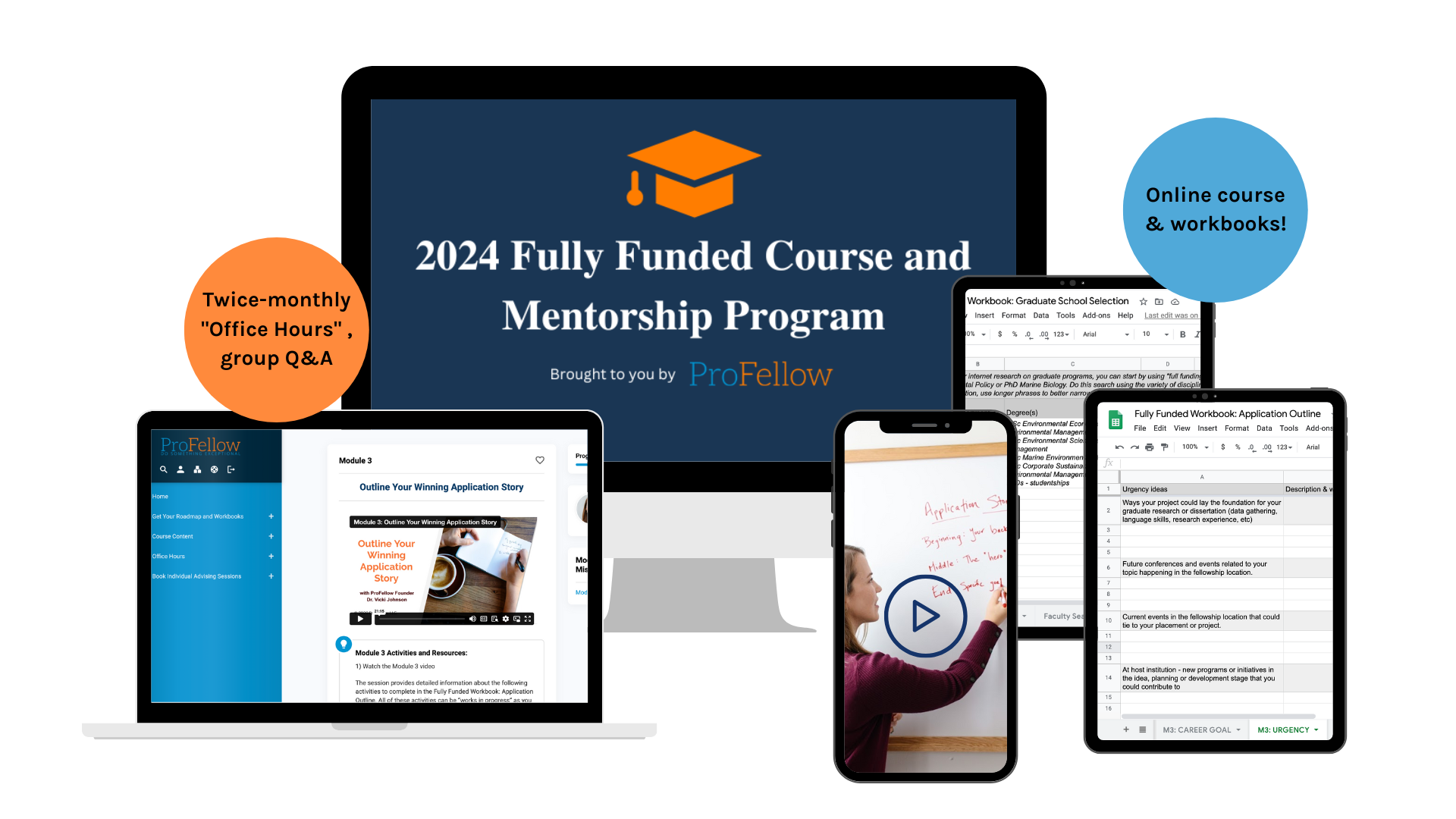 2024 Fully Funded Course and Mentorship Program
