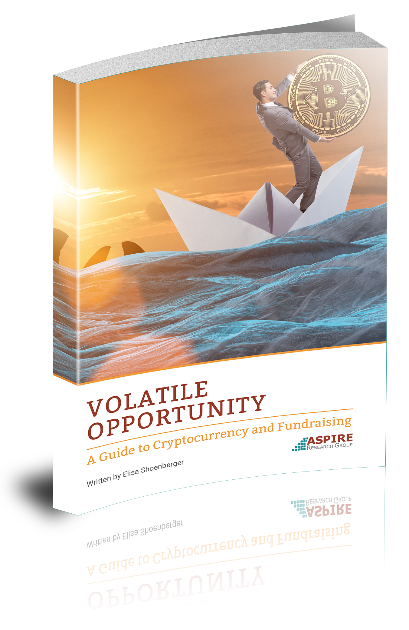 Disruptive Philanthropy Book