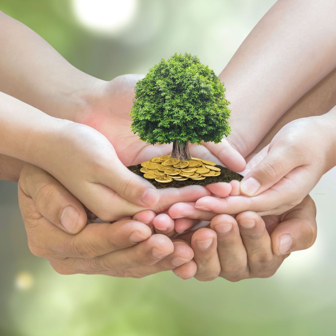 Donor-Advised-Funds-Questions