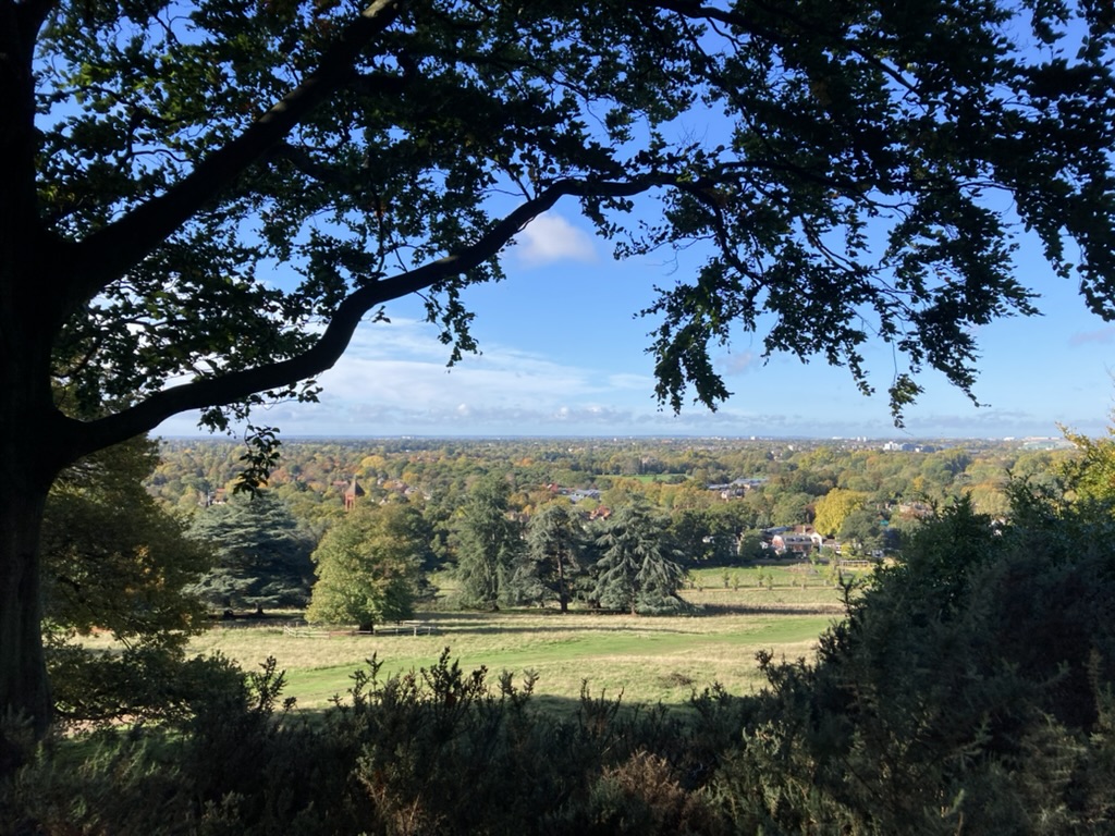 Personal Energy Coaching