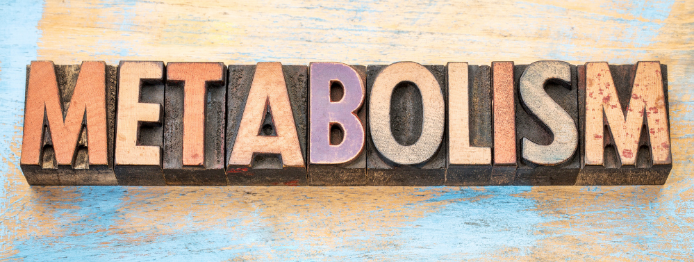 Reset with Miranda Blog