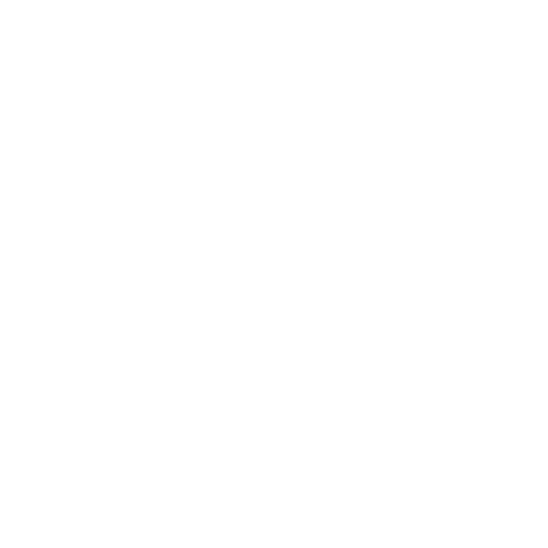 ny times logo