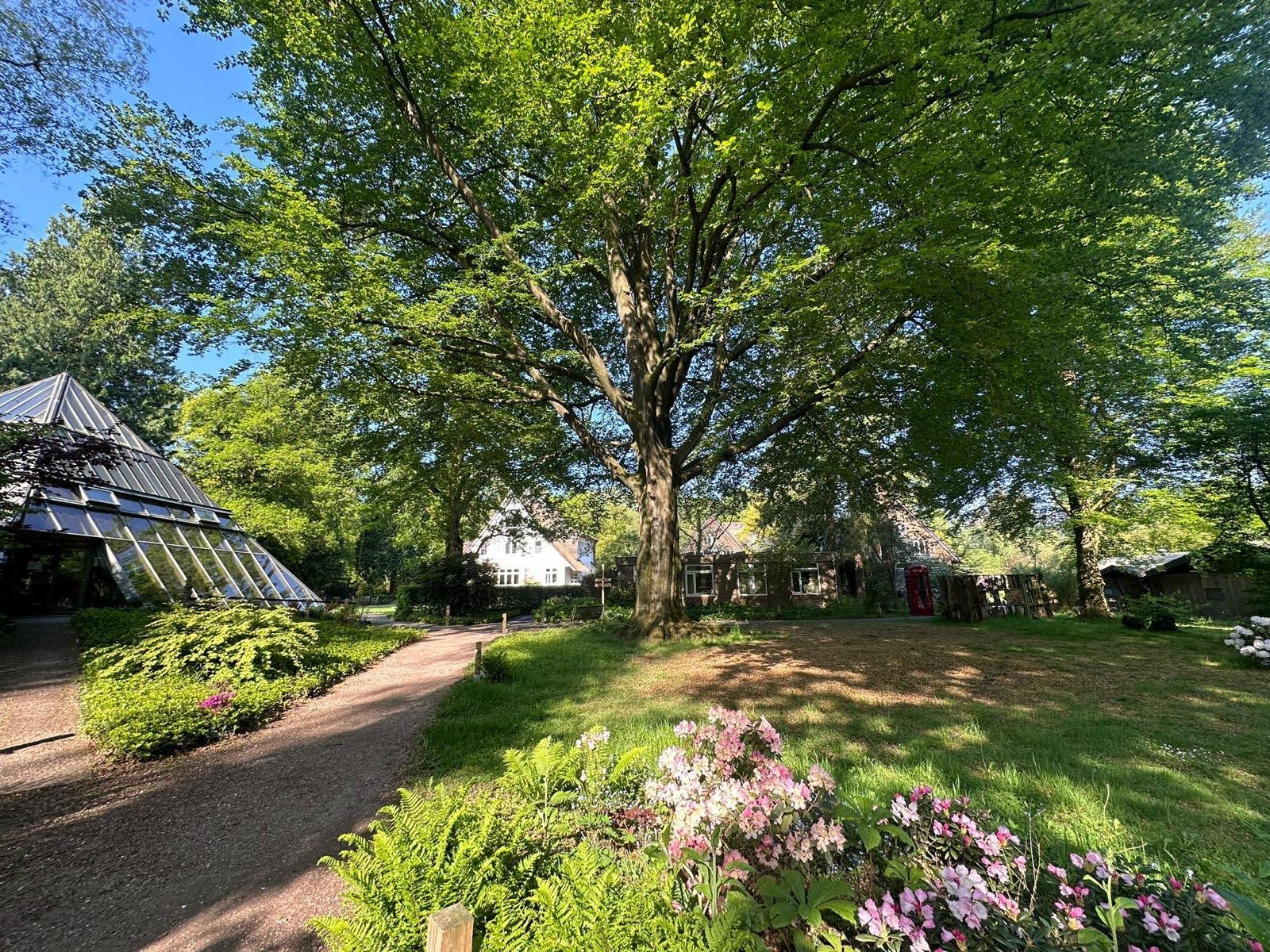 Serene environment, best personal growth retreat Deepdive