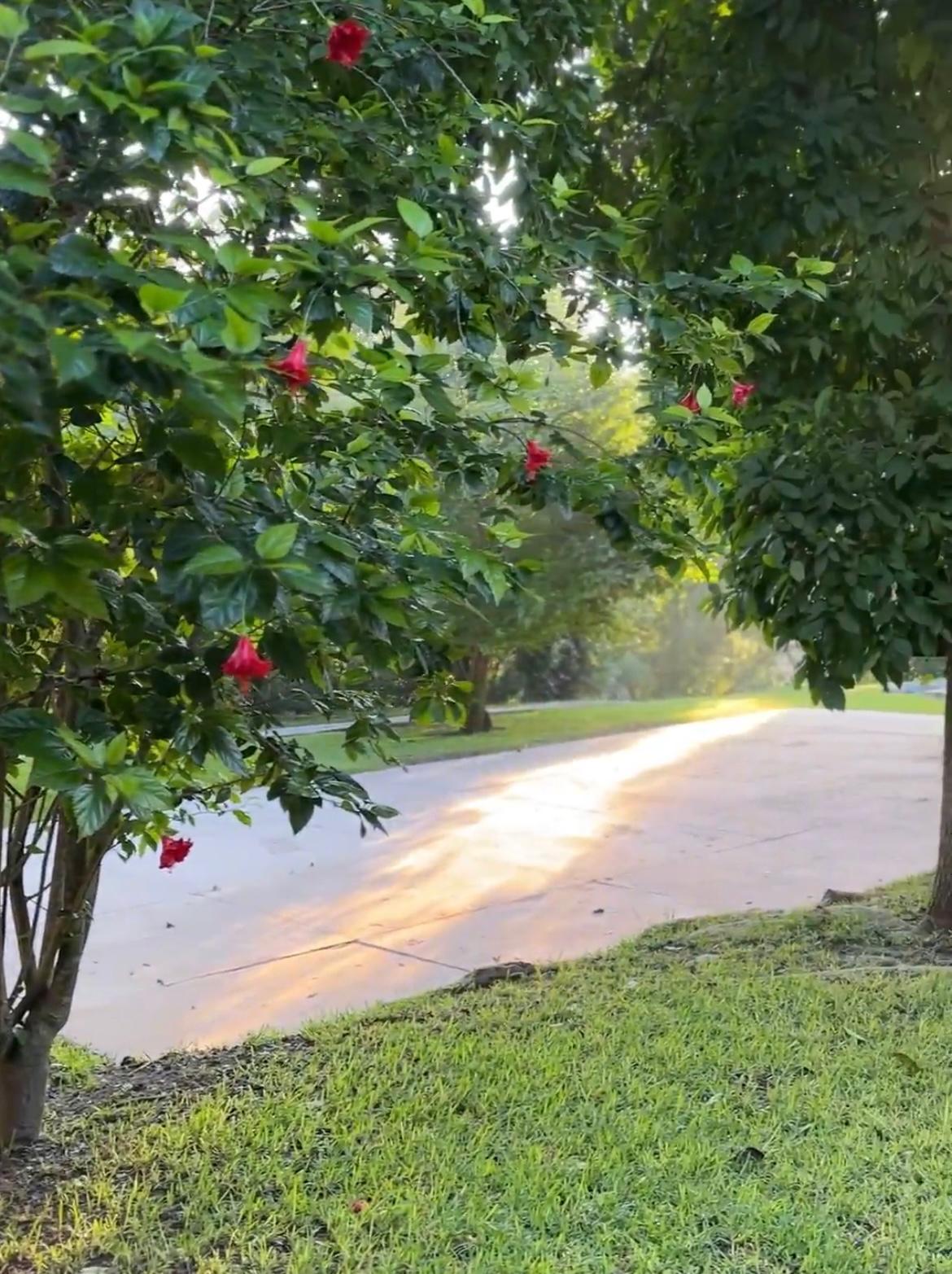 views of Lesvos island, greece for spirit of a woman women's retreat