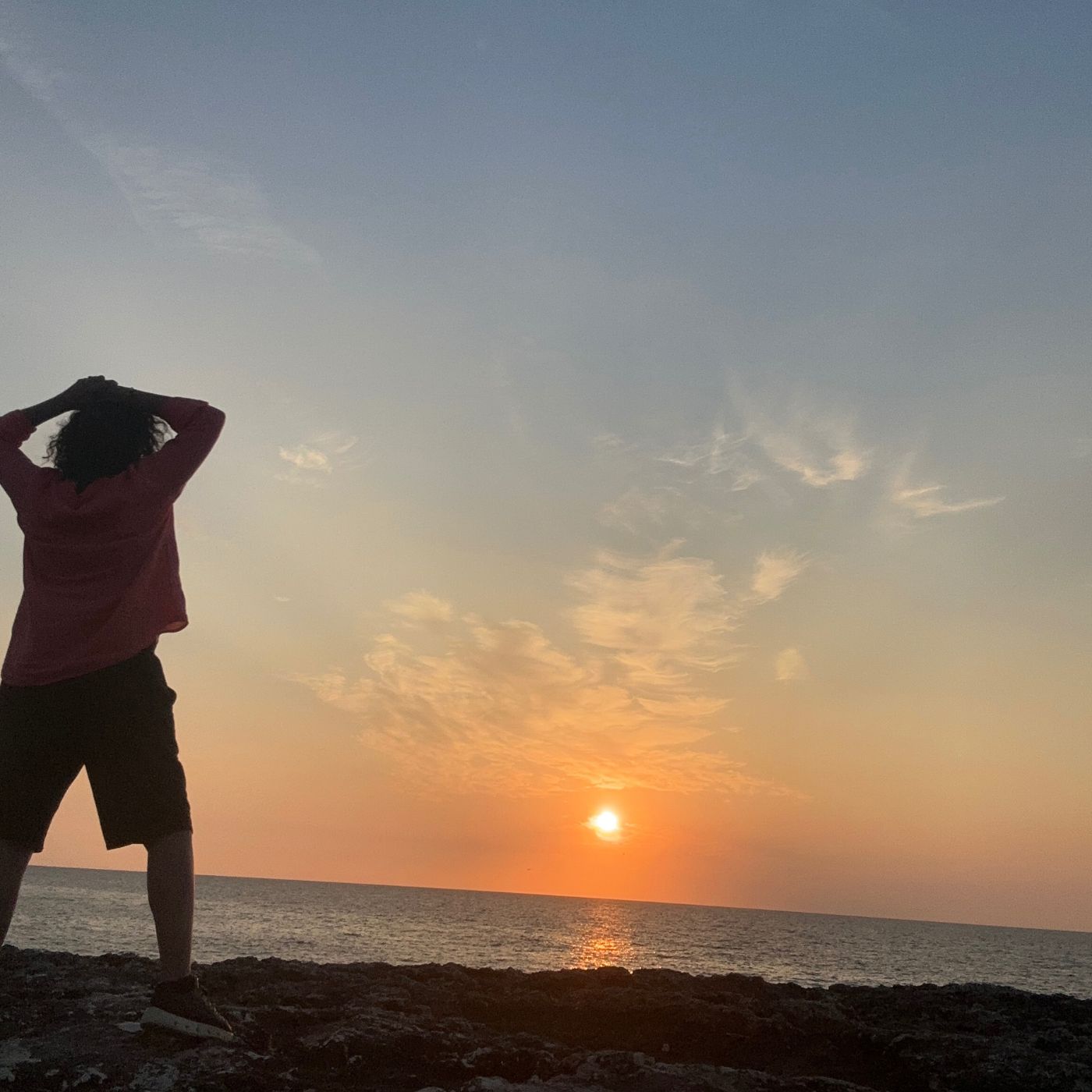 Braving Your Dreams Live Online Webinar