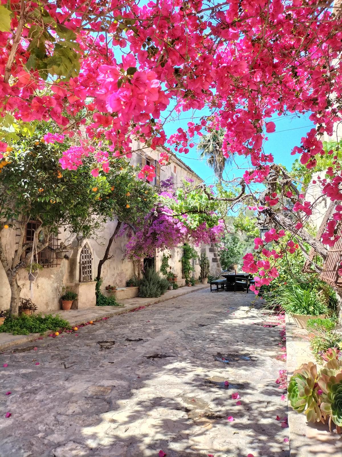 views of Lesvos island, greece for spirit of a woman women's retreat