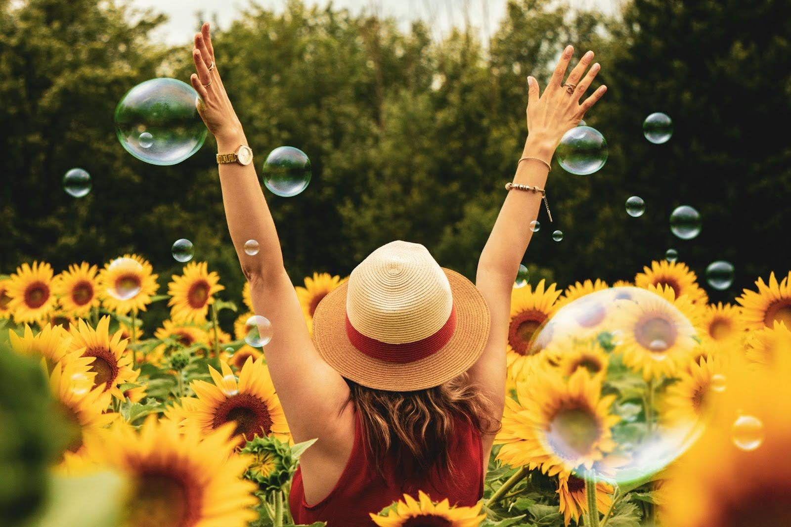 Woman surrounded by sunflowers, finding self-worth and breaking free from seeking approval and finding self-worth