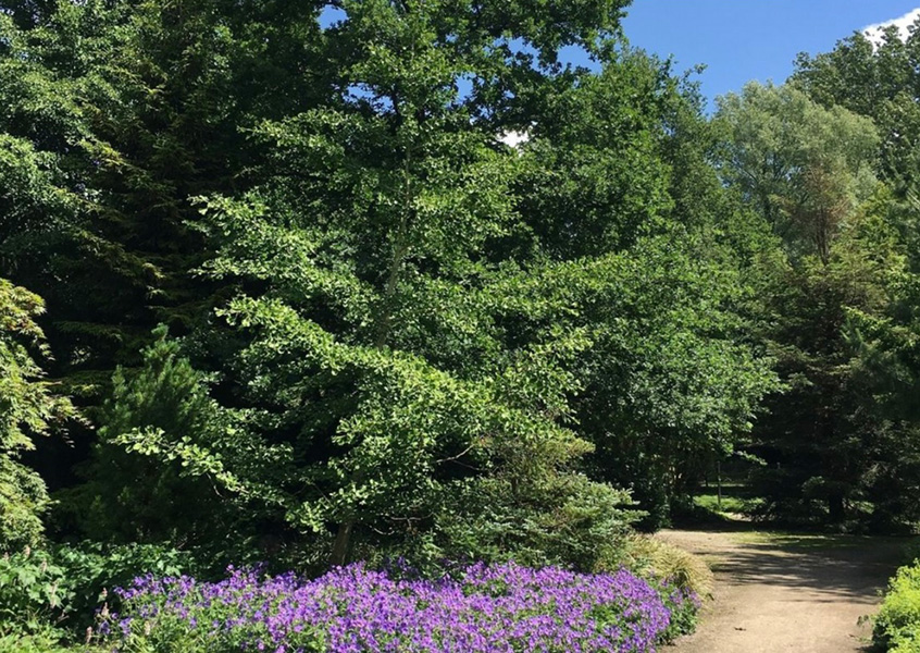 Best Personal Development Retreat Netherlands