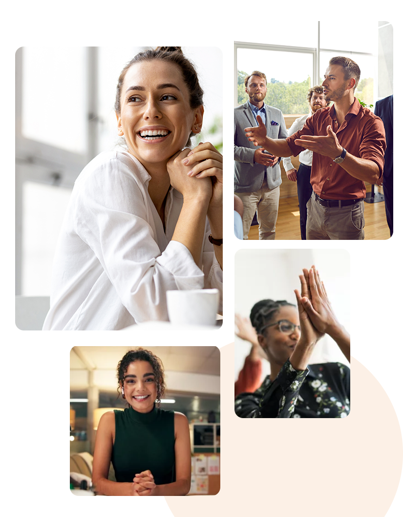 Visual diagram of the RDR system