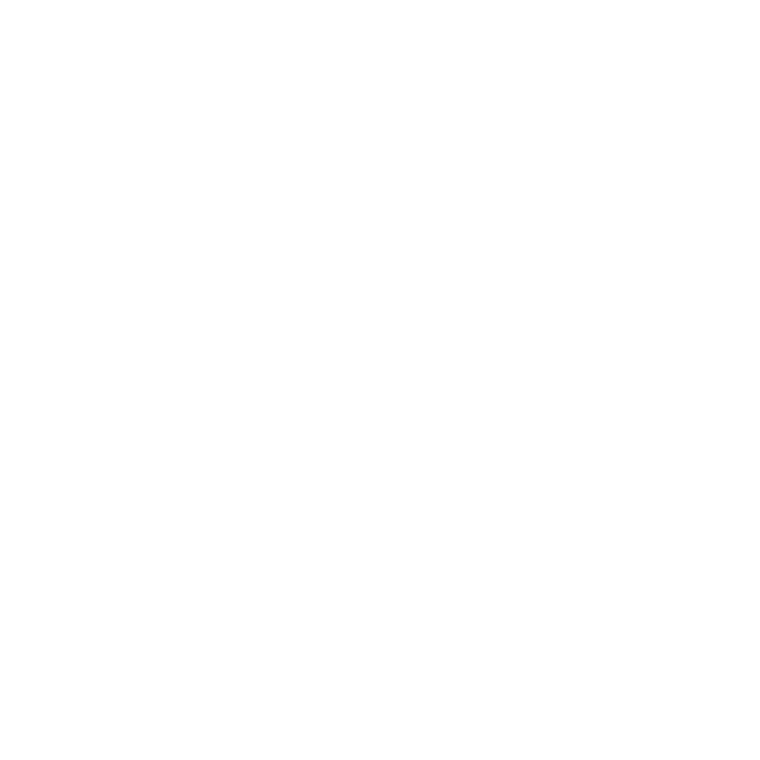 LSP LOGO RINGLESS