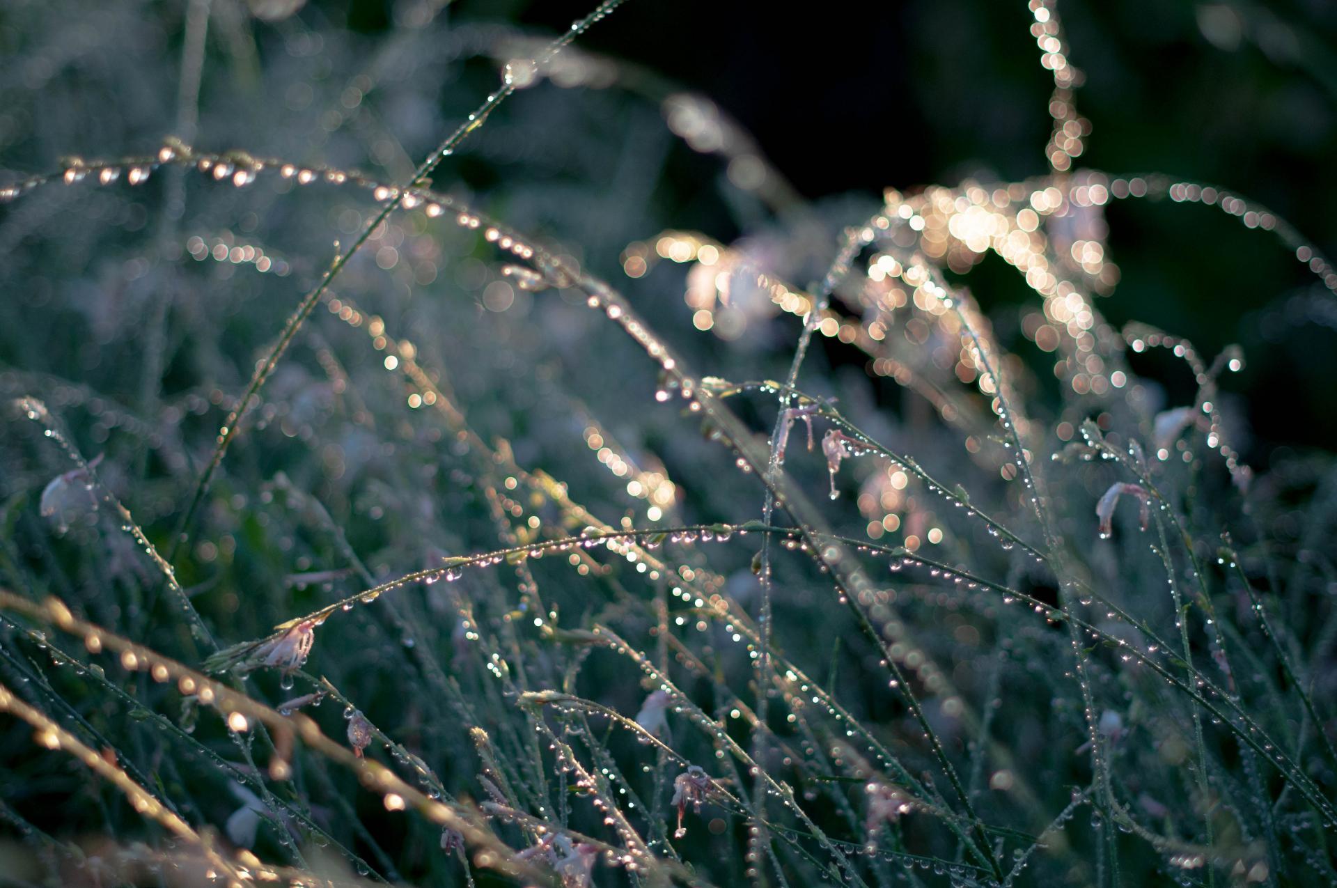 yoko-saito-SlRwbqHw3MM-unsplash