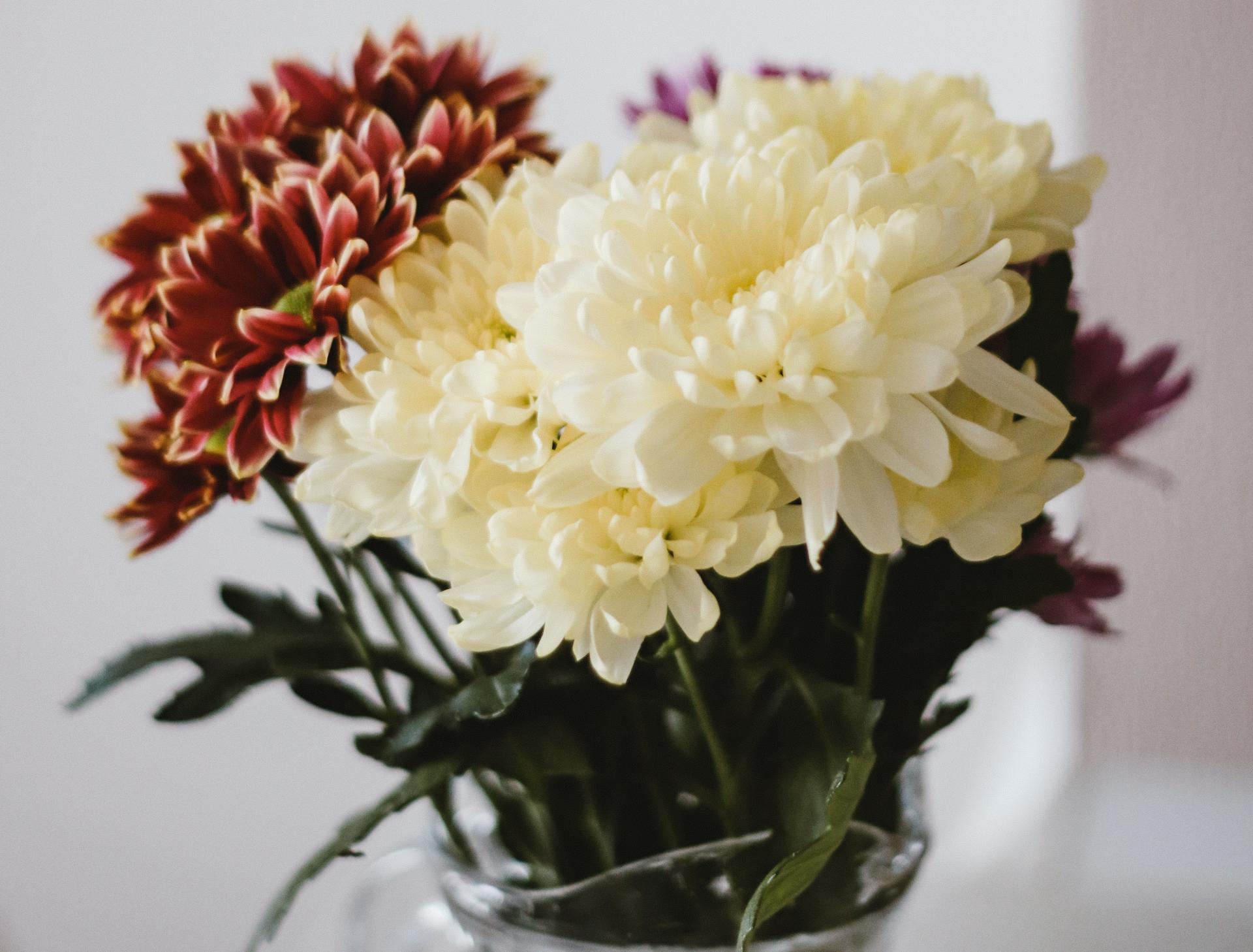 Photo by pure julia on Unsplash