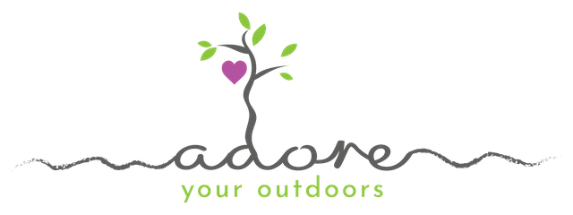 Forest Bathing Guide Training UK
