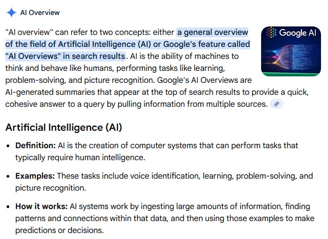 An example of search using Google's feature called AI Overivew
