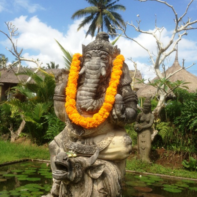Bali Retreat - Nurture and Nourish - Stone Eagle Massage Retreat