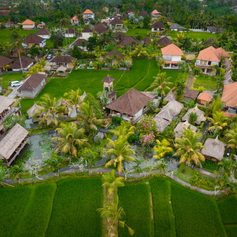 Bali Retreat - Nurture and Nourish - Stone Eagle Massage Retreat