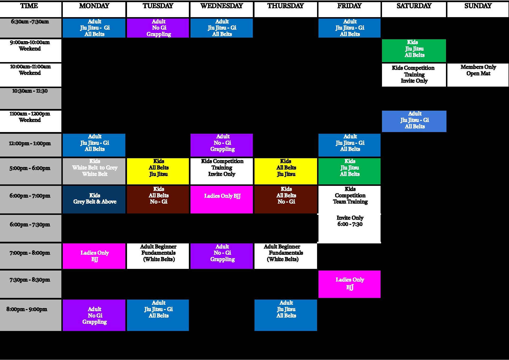 Team Randori Black Belt Instructors