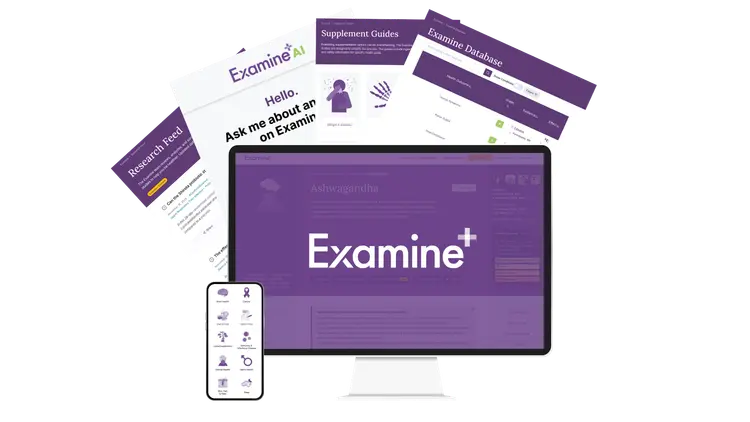 Examine Logo