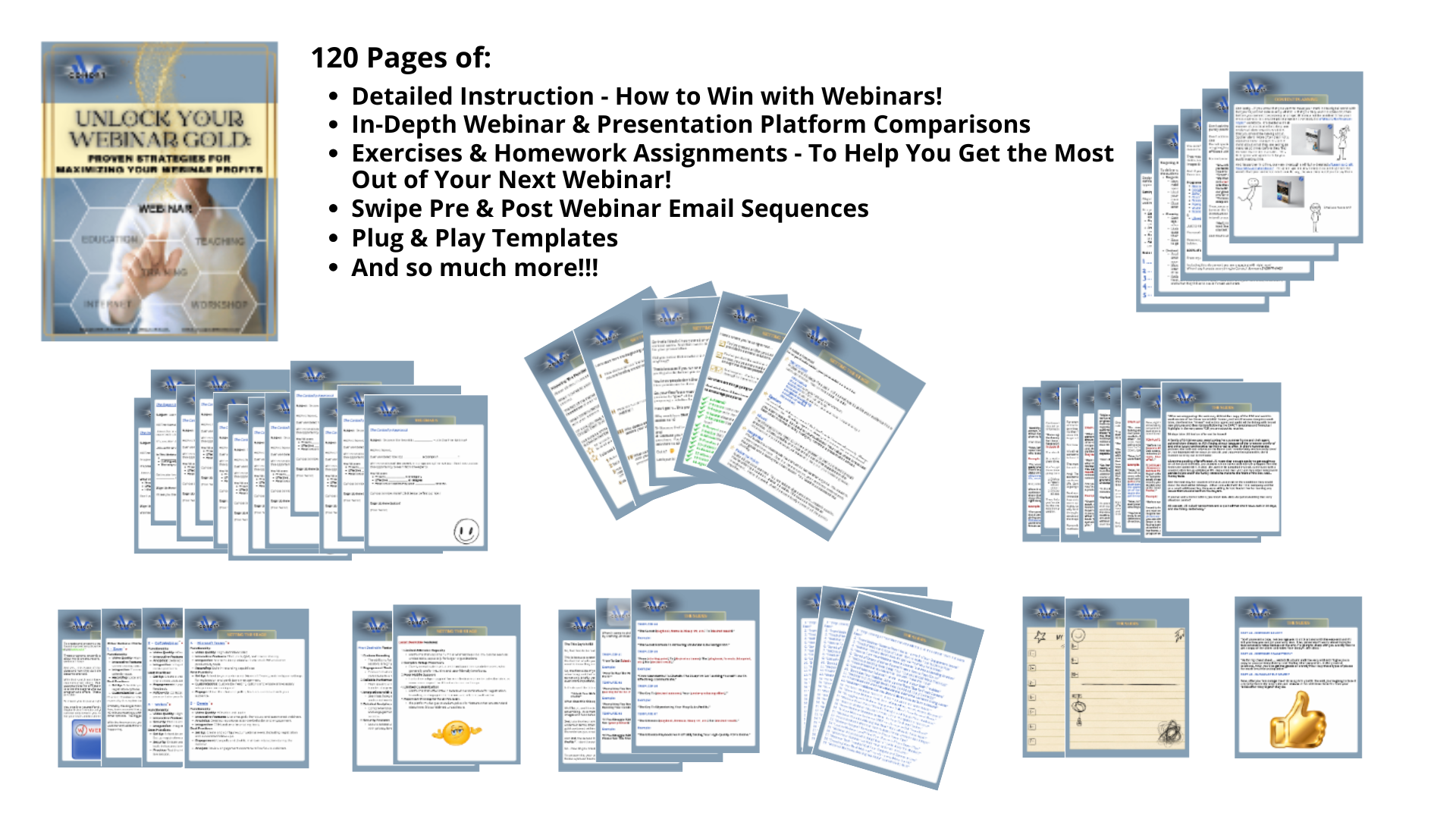 Unlock Your Webinar Gold Sample Pages