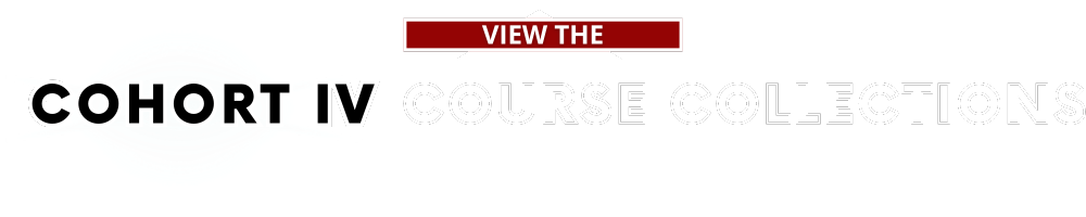 View The Cohort IV Course Collections
